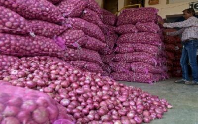 Centre bans onion exports till March