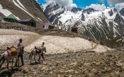 Srinagar celebrates ‘International Mountain Day’
