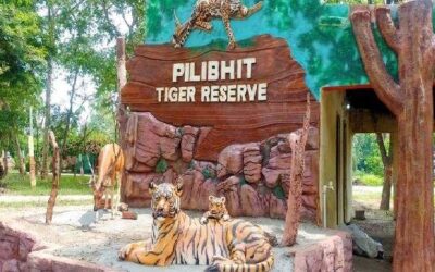 UP’s Pilibhit Reserve receives Wildlife Tourism Award