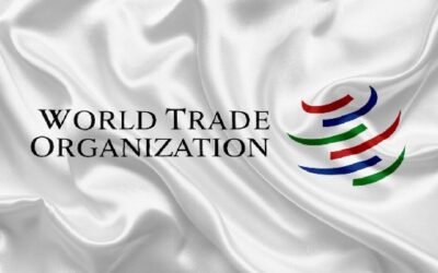 Future of WTO under scanner