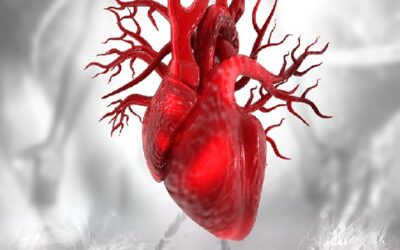 Uncovering biological drivers of heart disease