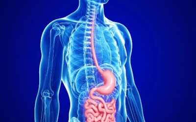 Implant to detect & treat digestive tract disease