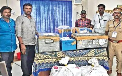 Rs 15crore worth of gold and silver ornaments seized in TN
