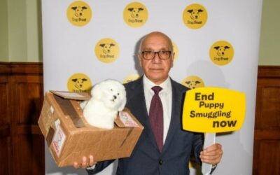 UK MP Sharma supports ban on puppy smuggling trade