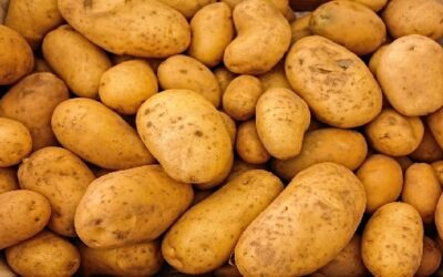 Reclassifying potato
