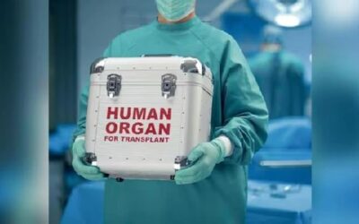 Organ transplant racket busted in Haryana, Rajasthan