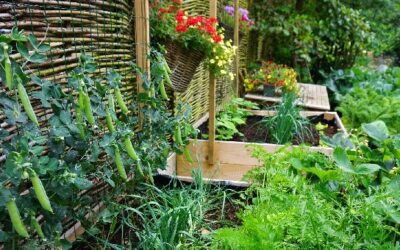 Garden healing to solve climate change crisis