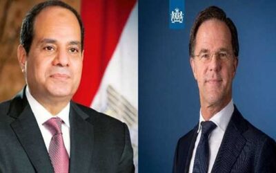 Egypt, Netherlands push for early Gaza ceasefire