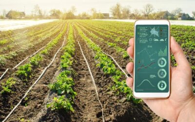 Agri scientists use AI-driven models for crop testing